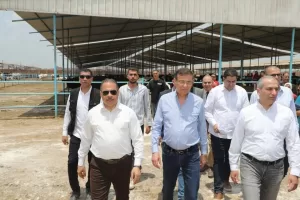 لتدعم صغار المربين بتوفير الروؤس المحسنة ذات الإنتاجية العالية وتوفير فرص العمل.. وزير الزراعة و محافظ الشرقية ورئيس البنك الزراعي يطلقون المرحلة الثانية من مبادرة "إحلم" لدعم صغار المربين بقرية التلين بمنيا القمح 36 - جريدة المساء