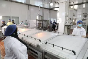 لتدعم صغار المربين بتوفير الروؤس المحسنة ذات الإنتاجية العالية وتوفير فرص العمل.. وزير الزراعة و محافظ الشرقية ورئيس البنك الزراعي يطلقون المرحلة الثانية من مبادرة "إحلم" لدعم صغار المربين بقرية التلين بمنيا القمح 26 - جريدة المساء