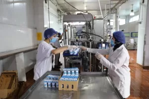 لتدعم صغار المربين بتوفير الروؤس المحسنة ذات الإنتاجية العالية وتوفير فرص العمل.. وزير الزراعة و محافظ الشرقية ورئيس البنك الزراعي يطلقون المرحلة الثانية من مبادرة "إحلم" لدعم صغار المربين بقرية التلين بمنيا القمح 24 - جريدة المساء