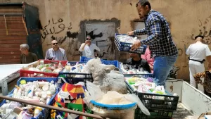 ألبان أطفال وكاتشب ومستحضرات تجميل.. محافظة الجيزة تضبط ١١ طنًا أدوية ومكملات غذائية وسلعا منتهية الصلاحية داخل مخزن في إمبابة 45 - جريدة المساء