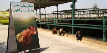 "مصر الخير" تطلق صك الأضحية لتوزيع اللحوم على 700 ألف أسرة أولى بالرعاية  1 - جريدة المساء