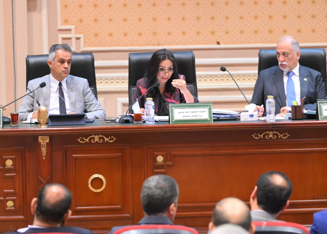 اعتماد 270 مليون جنيه بدل انتقال لـ 15 ألف رائدة اجتماعية ضمن موازنة 2025-2026 17 - جريدة المساء