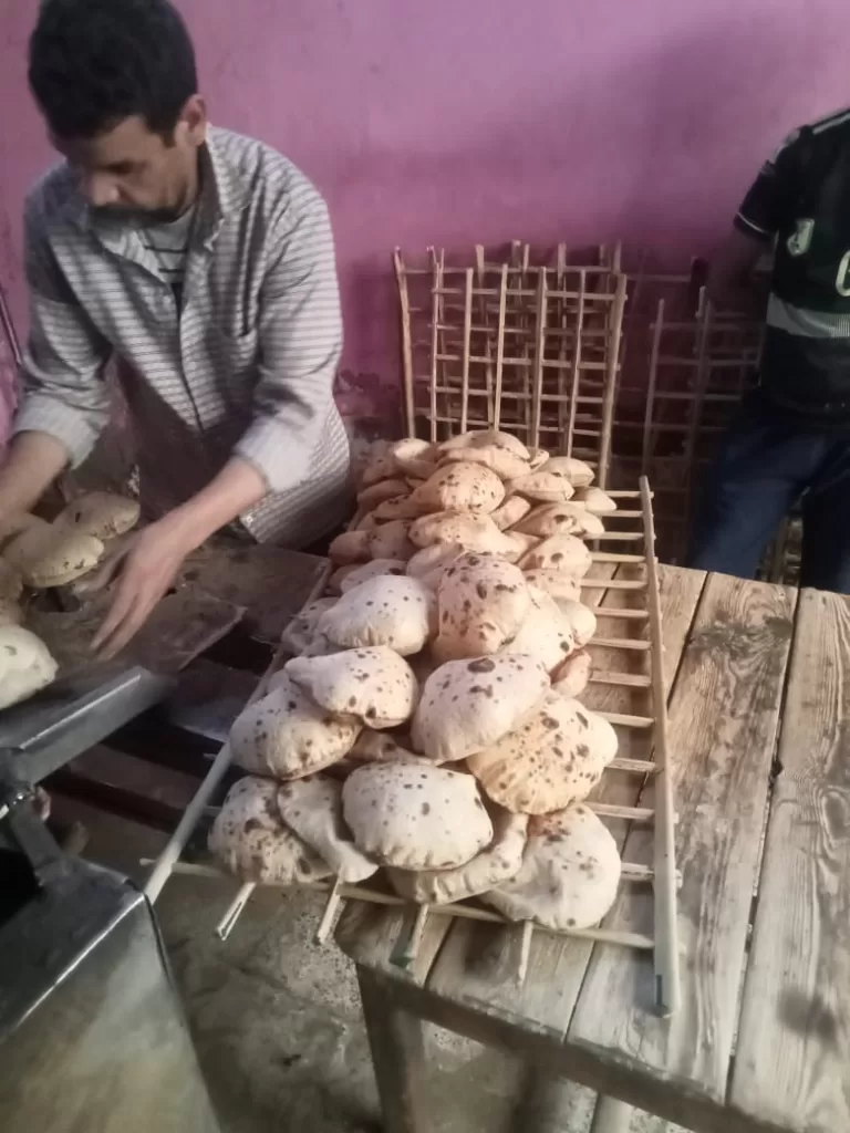 تحرير 271 مخالفة تموينية فى قنا 39 - جريدة المساء