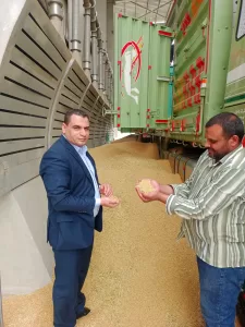 توريد ٦٦ ألف طن قمح خلال شهر بمراكز التخزين بالجيزة 27 - جريدة المساء