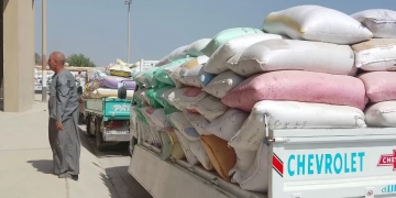 توريد ٦٦ ألف طن قمح خلال شهر بمراكز التخزين بالجيزة 1 - جريدة المساء