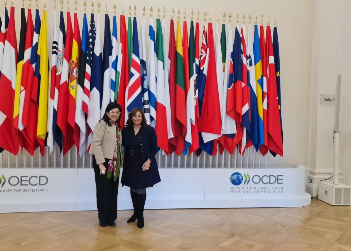 قومي المرأة يشارك في اجتماع المجموعة التوجيهية لمنطقة الشرق الأوسط وشمال أفريقيا ومنظمة التعاون الاقتصادي والتنميةفي جلسة : التحول الأخضر والتحولات العالمية في منطقة الشرق الأوسط وشمال أفريقيا 19 - جريدة المساء