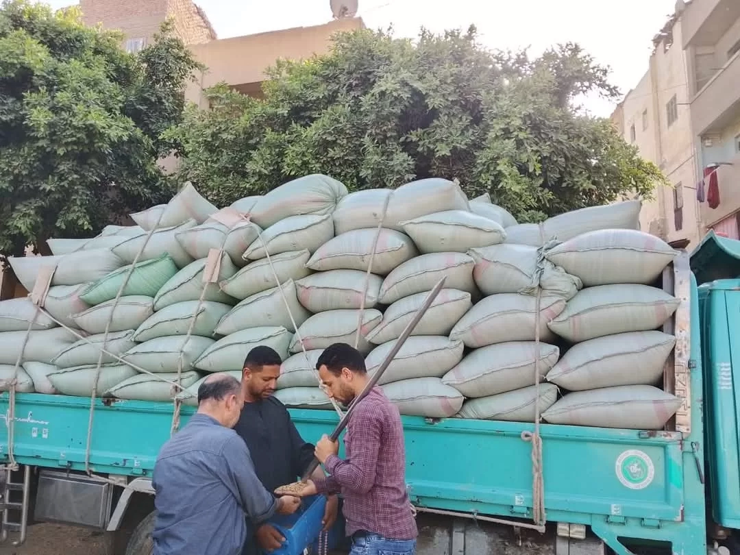 249 ألف طن قمح في صوامع وشون المنيا حتى الآن: توريد منتظم وجهود مكثفة لتحقيق المستهدف الإستراتيجي 20 - جريدة المساء 249 ألف طن قمح في صوامع وشون المنيا حتى الآن: توريد منتظم وجهود مكثفة لتحقيق المستهدف الإستراتيجي 19 - جريدة المساء