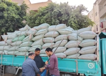 249 ألف طن قمح في صوامع وشون المنيا حتى الآن: توريد منتظم وجهود مكثفة لتحقيق المستهدف الإستراتيجي 33 - جريدة المساء