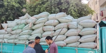 249 ألف طن قمح في صوامع وشون المنيا حتى الآن: توريد منتظم وجهود مكثفة لتحقيق المستهدف الإستراتيجي 2 - جريدة المساء 249 ألف طن قمح في صوامع وشون المنيا حتى الآن: توريد منتظم وجهود مكثفة لتحقيق المستهدف الإستراتيجي 1 - جريدة المساء