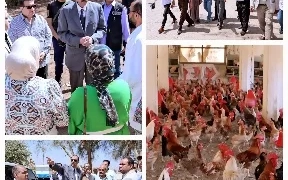 محافظ سوهاج يتفقد محطة الدواجن بحي غرب وموقع مشروع التسمين بالأحايوة شرق 2 - جريدة المساء محافظ سوهاج يتفقد محطة الدواجن بحي غرب وموقع مشروع التسمين بالأحايوة شرق 1 - جريدة المساء