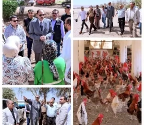 محافظ سوهاج يتفقد محطة الدواجن بحي غرب وموقع مشروع التسمين بالأحايوة شرق 33 - جريدة المساء