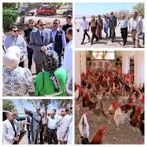 محافظ سوهاج يتفقد محطة الدواجن بحي غرب وموقع مشروع التسمين بالأحايوة شرق 18 - جريدة المساء محافظ سوهاج يتفقد محطة الدواجن بحي غرب وموقع مشروع التسمين بالأحايوة شرق 17 - جريدة المساء