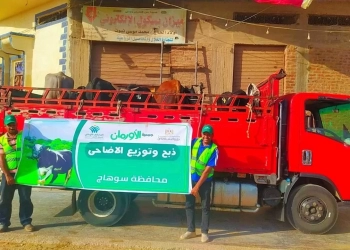 بـ500 جنيه شهريًا.. "الأورمان" تتيح صكوك الأضحية بالتقسيط لإسعاد آلاف الأسر بسوهاج في عيد الأضحى 30 - جريدة المساء