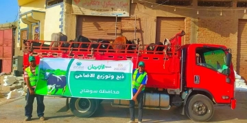 بـ500 جنيه شهريًا.. "الأورمان" تتيح صكوك الأضحية بالتقسيط لإسعاد آلاف الأسر بسوهاج في عيد الأضحى 1 - جريدة المساء
