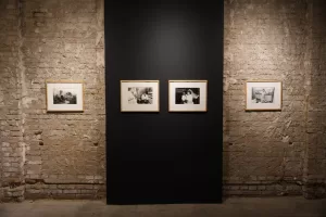 أسبوع القاهرة للصورة يحتفي بذكرى المصور ياسر علوان بمعرض "الديناصور" 21 - جريدة المساء