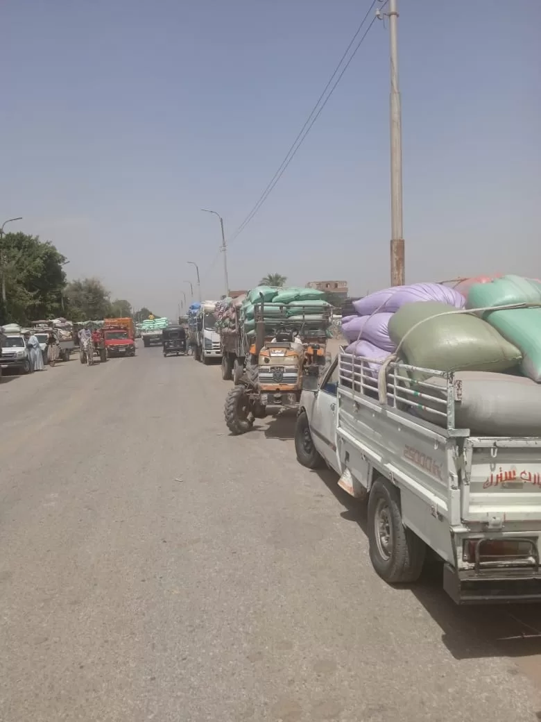 299 ألف طن قمح في شون وصوامع المنيا حتى منتصف مايو ضمن موسم توريد 2025 23 - جريدة المساء