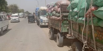 299 ألف طن قمح في شون وصوامع المنيا حتى منتصف مايو ضمن موسم توريد 2025 1 - جريدة المساء