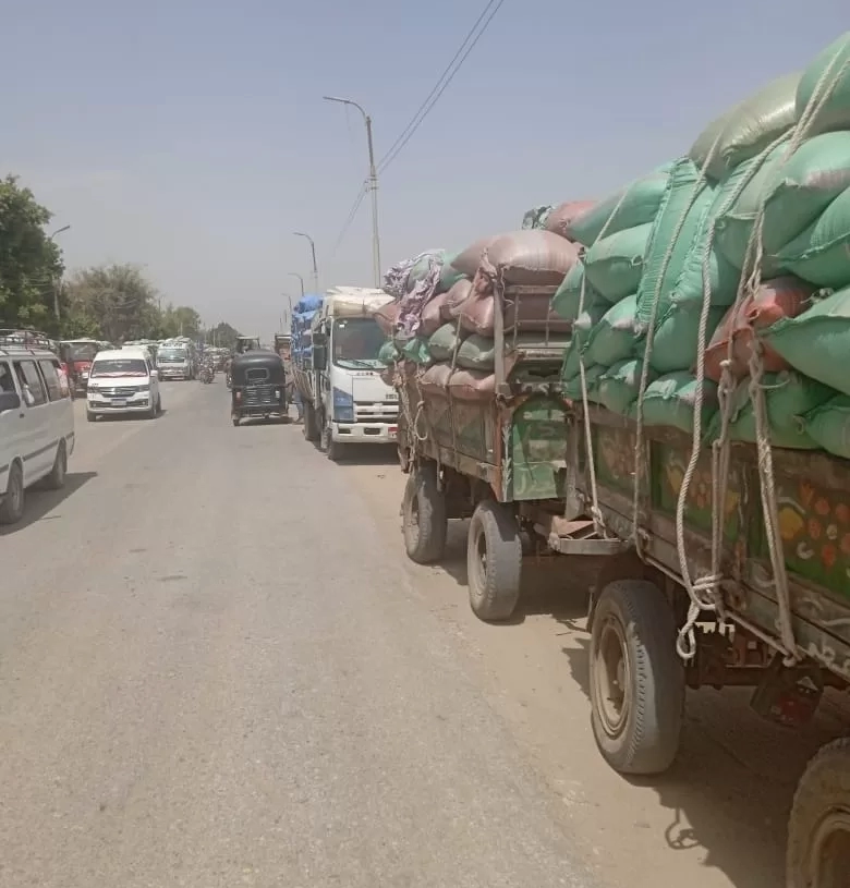 299 ألف طن قمح في شون وصوامع المنيا حتى منتصف مايو ضمن موسم توريد 2025 19 - جريدة المساء