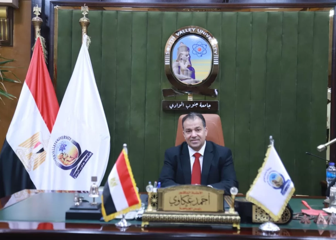 جنوب الوادي تتصدر جامعات مصر في التدريب على التحول الرقمي 19 - جريدة المساء