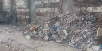 رفع 50 طن مخلفات من محور المحمودية وطريق الحرية بوسط الإسكندرية 1 - جريدة المساء