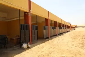 مع قرب افتتاح المتحف الكبير.. محافظ الجيزة يعلن تطوير طريق أبو الهول السياحي بالهرم 31 - جريدة المساء