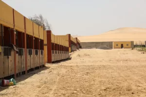 مع قرب افتتاح المتحف الكبير.. محافظ الجيزة يعلن تطوير طريق أبو الهول السياحي بالهرم 23 - جريدة المساء