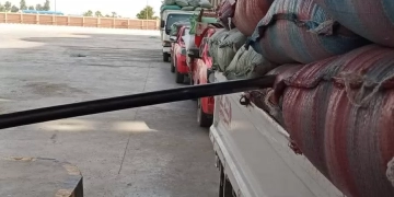 توريد 330 ألف طن من القمح إلى الشون والصوامع بالمنيا 1 - جريدة المساء