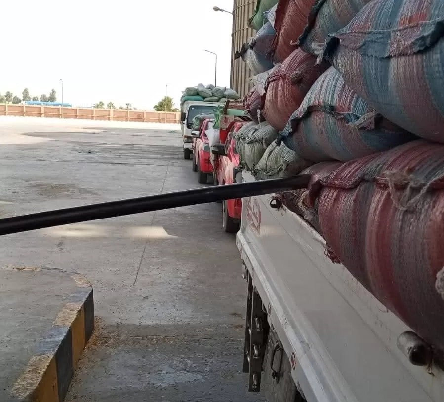 توريد 330 ألف طن من القمح إلى الشون والصوامع بالمنيا 19 - جريدة المساء