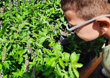 "بصيرة": زيارات ميدانية لمعرض زهور الربيع لدمج المكفوفين وضعاف البصر في المجتمع 17 - جريدة المساء