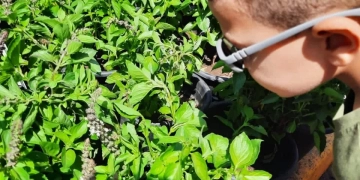 "بصيرة": زيارات ميدانية لمعرض زهور الربيع لدمج المكفوفين وضعاف البصر في المجتمع 1 - جريدة المساء