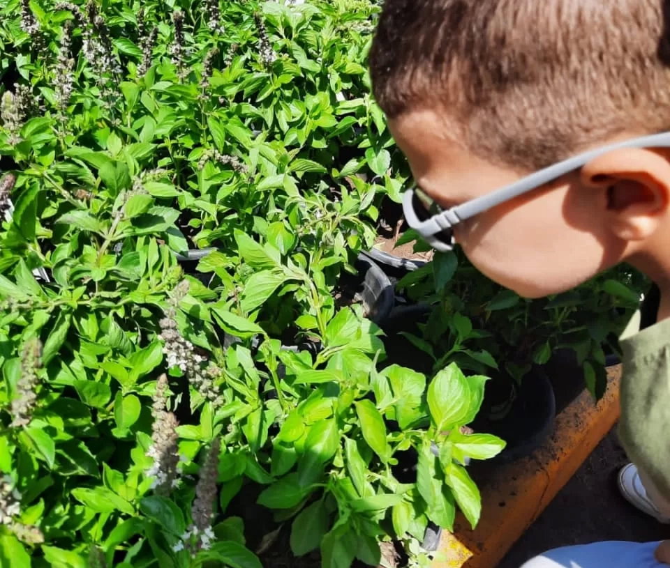 "بصيرة": زيارات ميدانية لمعرض زهور الربيع لدمج المكفوفين وضعاف البصر في المجتمع 19 - جريدة المساء