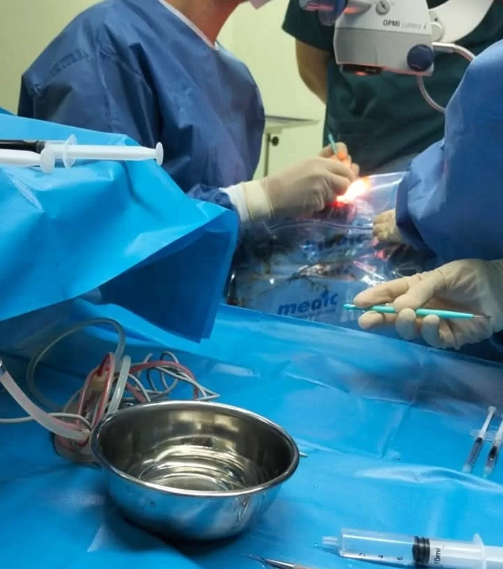 إنجاز جديد فى طب العيون بكفر الشيخ: 6 عمليات مياه بيضاء وزراعة قرنية تعيد الأمل لمرضى قوائم الانتظار 18 - جريدة المساء