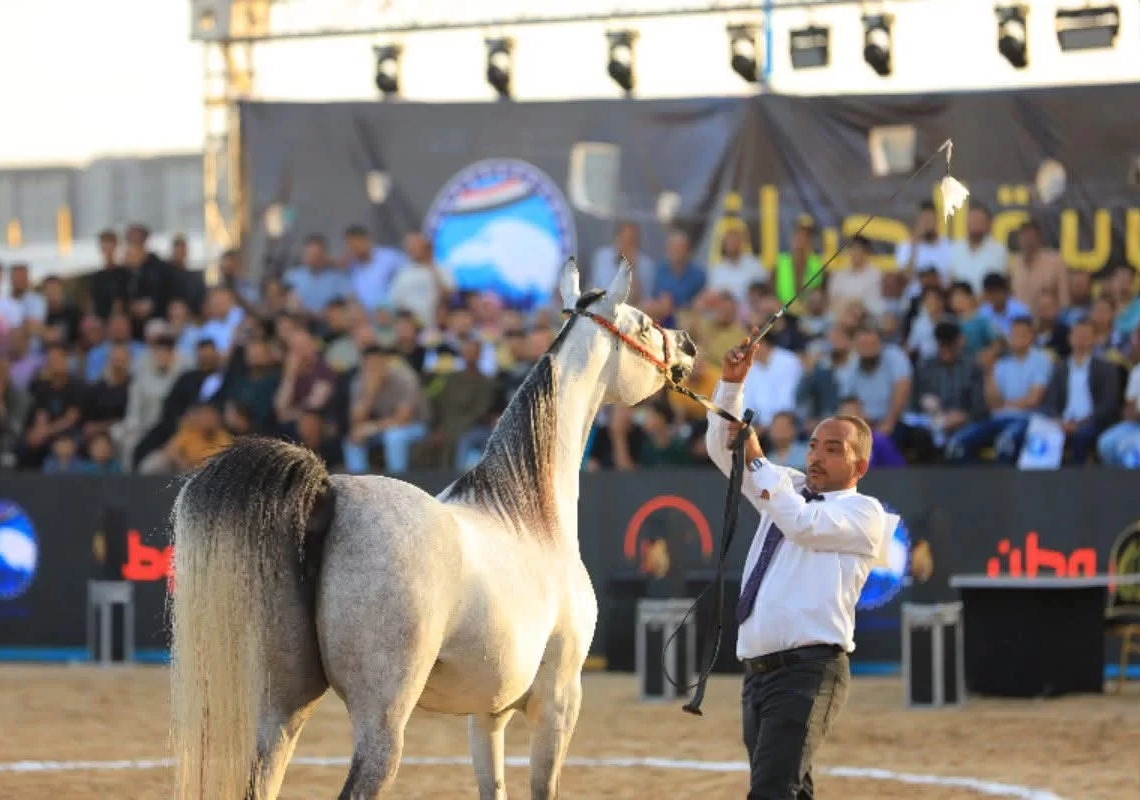 بعبق الأصالة وبريق الفروسية... كفر الشيخ تُسدل الستار على مهرجان "فرسان وطن" وعبدالمعطي يُكرم الفائزين 17 - جريدة المساء