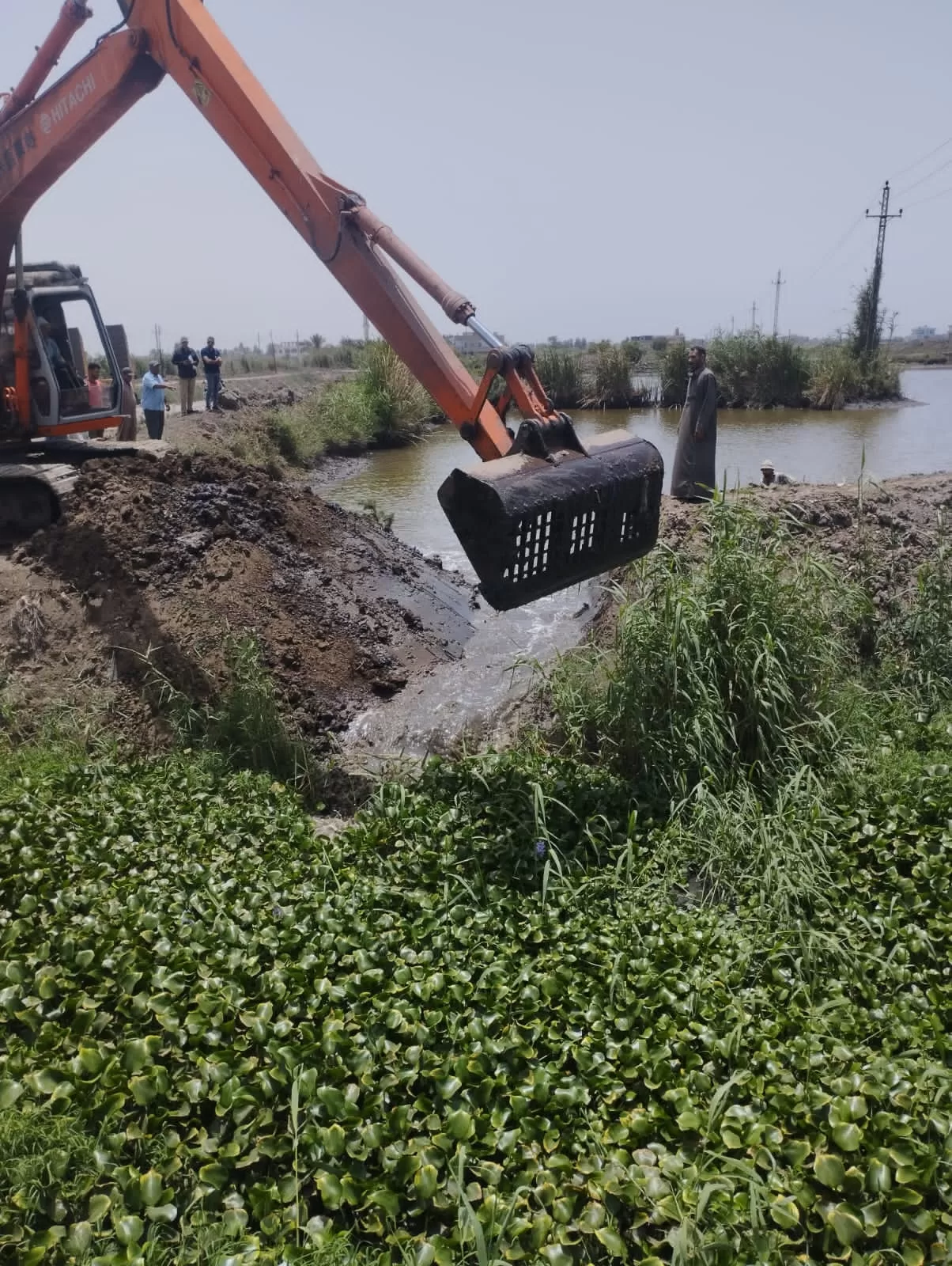 إزالة 7 تعديات لمزارع سمكية مخالفة على مصرف بحر البقر جنوب بورسعيد 21 - جريدة المساء