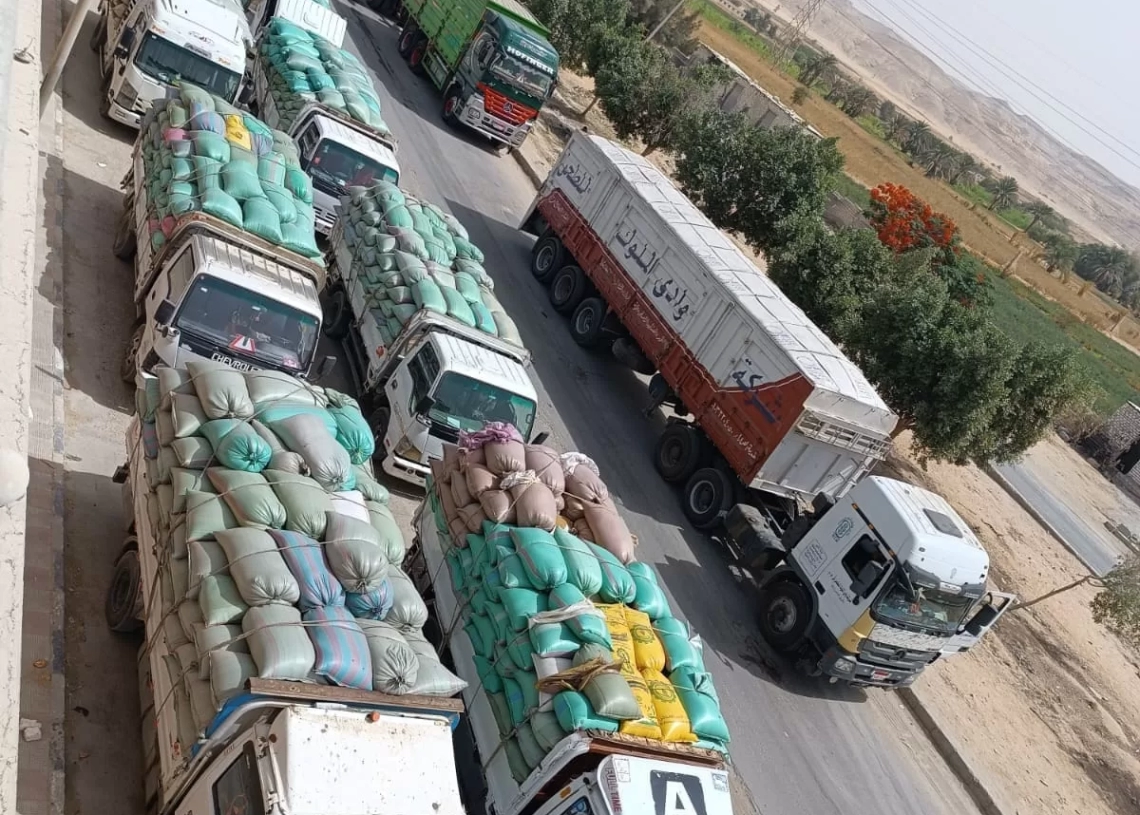 توريد 459 ألف طن من القمح بصوامع محافظة المنيا 19 - جريدة المساء