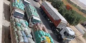 توريد 459 ألف طن من القمح بصوامع محافظة المنيا 1 - جريدة المساء