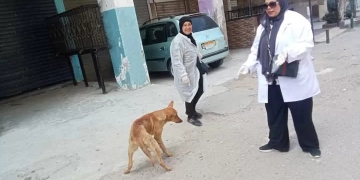 "حي العرب" يتحرك ضد السعار.. حملة مكبرة لتطعيم كلاب الشوارع ببورسعيد 1 - جريدة المساء