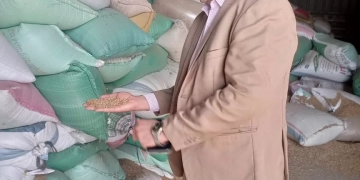 توريد 100 ألف طن قمح للشون و الصوامع .. بالمنوفية  1 - جريدة المساء