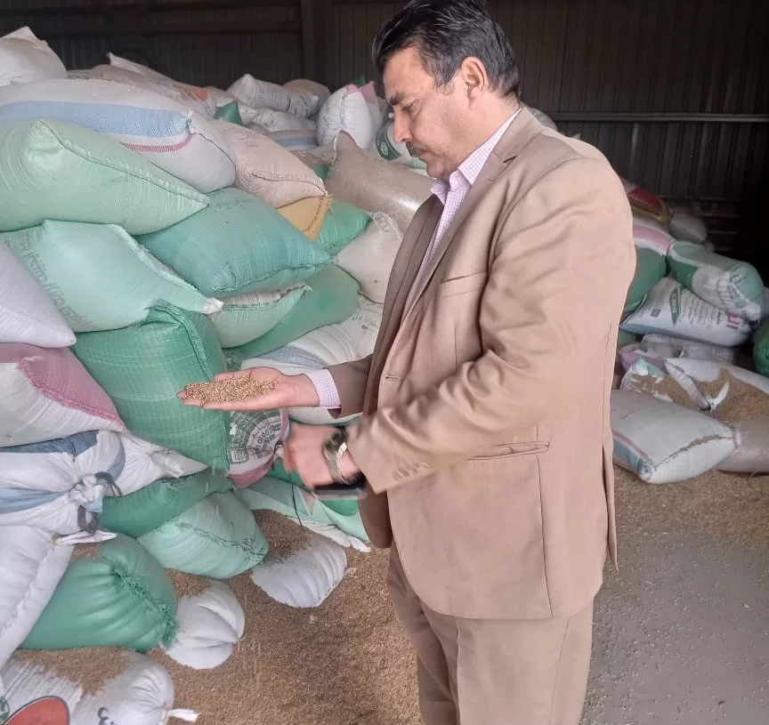 توريد 100 ألف طن قمح للشون و الصوامع .. بالمنوفية  19 - جريدة المساء