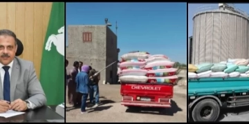 استمرار تدفق الأقماح الذهبية للمواقع التخزينية بالشرقية 1 - جريدة المساء