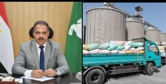 الذهب الأصفر يلمع في الشرقية.. حصاد وتوريد قياسي للقمح وسط دعم حكومي ومتابعة دقيقة 17 - جريدة المساء