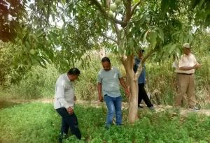 قافلة شاملة لجامعة القناة بقرية الرائد بالسويس ضمن مبادرة "حياة كريمة" 24 - جريدة المساء