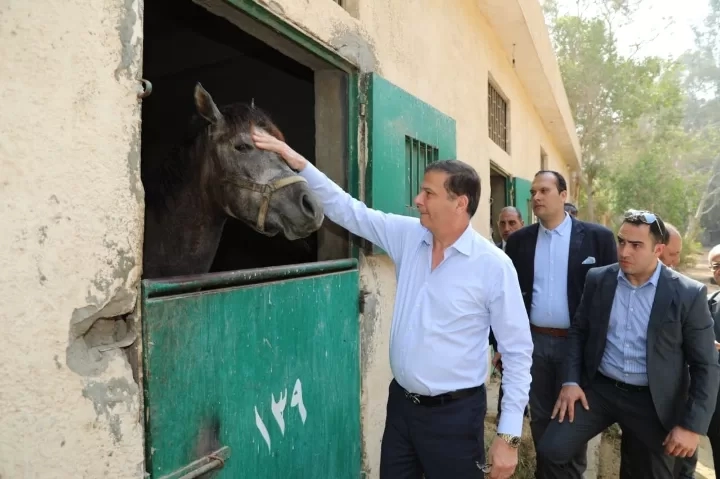 وزير الزراعة ومحافظ القاهرة يتفقدان محطة الزهراء للخيول العربية الأصيلة 17 - جريدة المساء