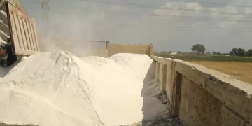 "الزراعة" تعلن توريد 11 ألف طن جبس زراعي لجهاز تحسين الأراضي لدعم المزارعين 1 - جريدة المساء