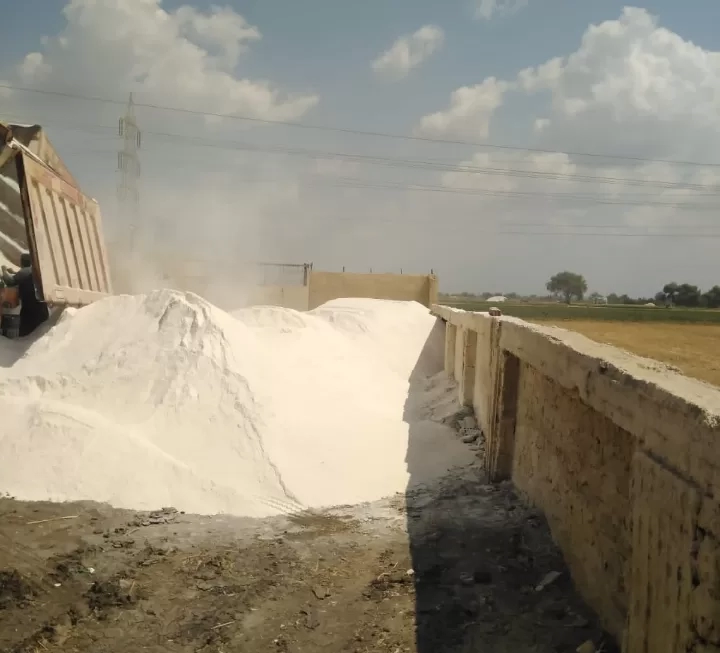 "الزراعة" تعلن توريد 11 ألف طن جبس زراعي لجهاز تحسين الأراضي لدعم المزارعين 17 - جريدة المساء