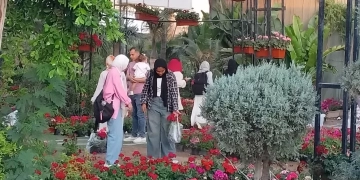 استجابة للإقبال الجماهيري الكبير.. الزراعة تقرر تمديد فعاليات معرض "زهور الربيع" حتى نهاية شهر مايو الجاري 1 - جريدة المساء