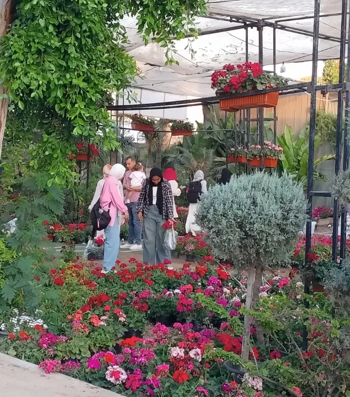 استجابة للإقبال الجماهيري الكبير.. الزراعة تقرر تمديد فعاليات معرض "زهور الربيع" حتى نهاية شهر مايو الجاري 19 - جريدة المساء