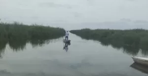 مركزالبحوث الزراعية والدولي للأسماك يتفقدان موقعًا مقترحًا للاستزراع السمكي بكفر الشيخ 21 - جريدة المساء