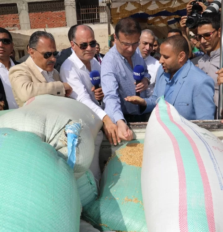 "فاروق": كمية الاقماح الموردة تجاوزت 3.7 مليون طن حتى اليوم.. وأعمال التوريد لازالت مستمرة 19 - جريدة المساء