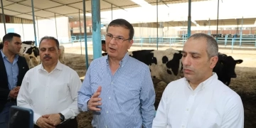 مبادره (أحلم ) تدعم صغار المربين بتوفير الروؤس المحسنة ذات الإنتاجية العالية للألبان 1 - جريدة المساء